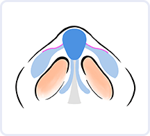イラスト5