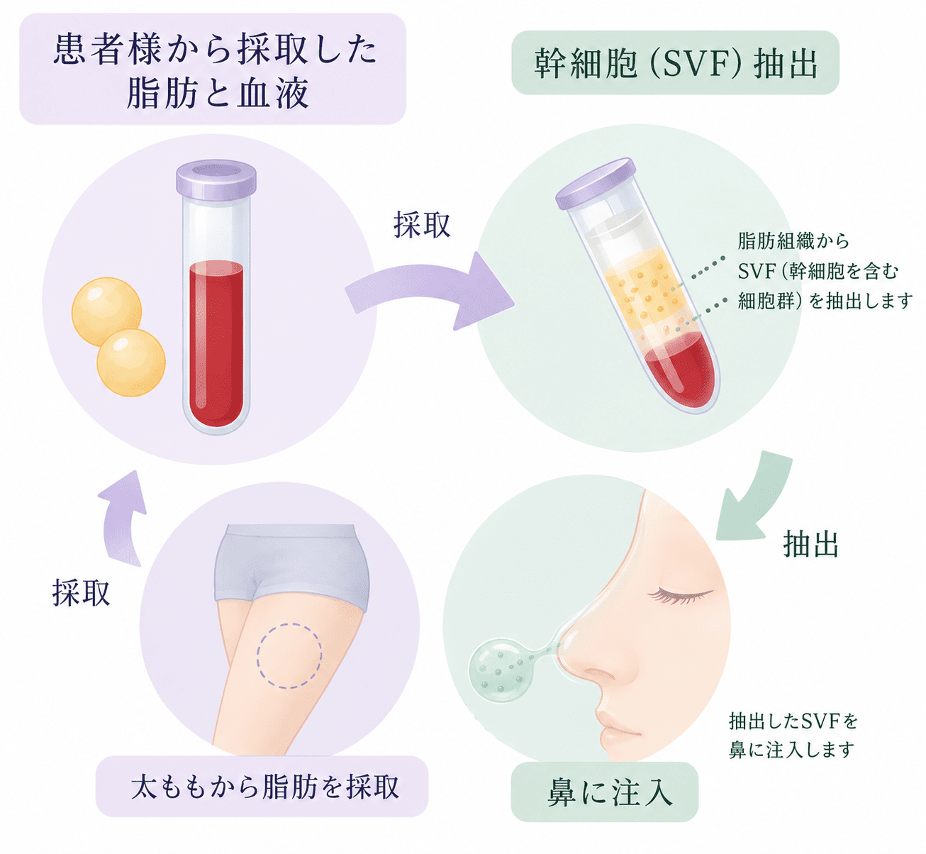 イラスト